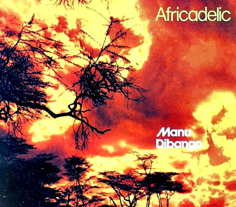 Lire la suite à propos de l’article Africadelic (Manu Dibango), marmite bouillante d’un groove vaudou