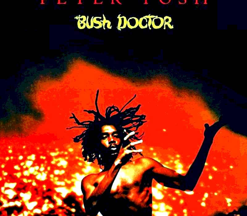 Lire la suite à propos de l’article Bush Doctor (Peter Tosh), inoubliable ode à la weed