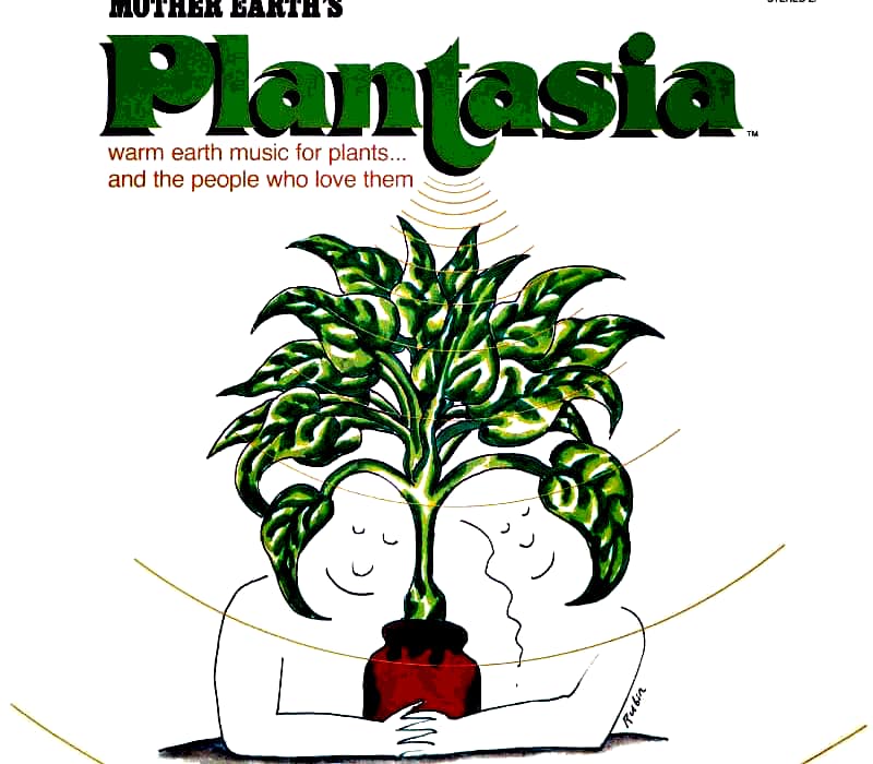 Lire la suite à propos de l’article Mother Earth’s Plantasia (Mort Garson), totem pour tout fan de synthé Moog