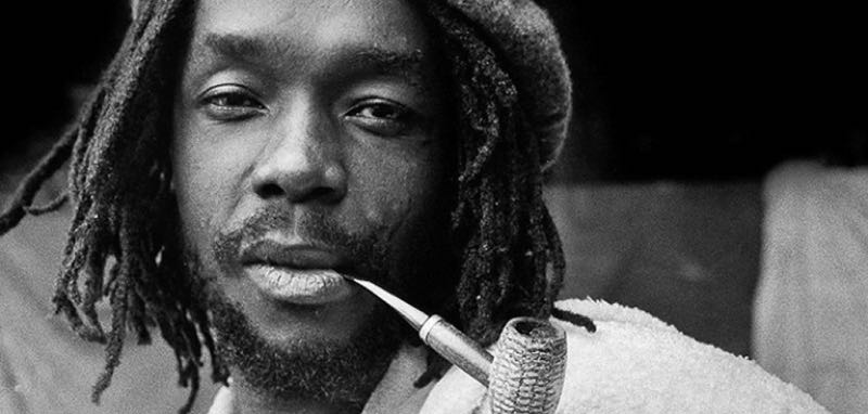 Bush Doctor (Peter Tosh)