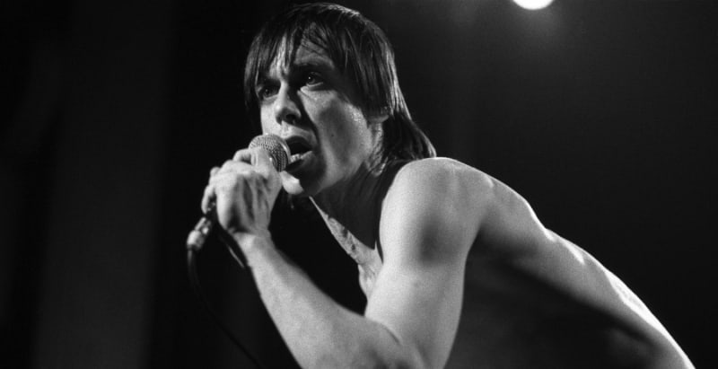 The Stooges Fun House