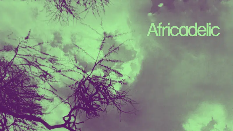 Lire la suite à propos de l’article Africadelic (Manu Dibango), marmite bouillante d&rsquo;un groove vaudou