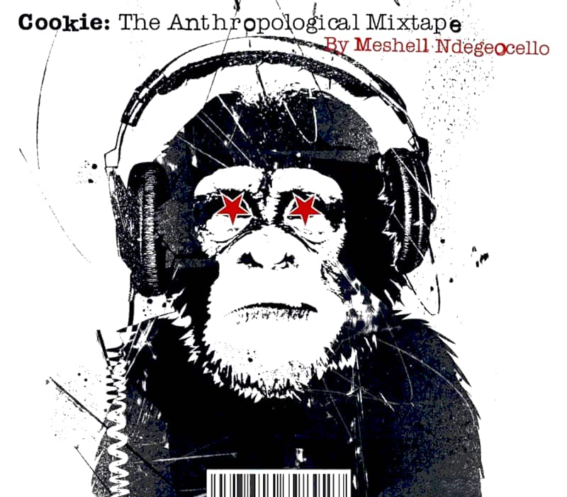 Lire la suite à propos de l’article Meshell Ndegeocello“Cookie : The Anthropological Mixtape”, disque-manifeste en forme de collage polystyle